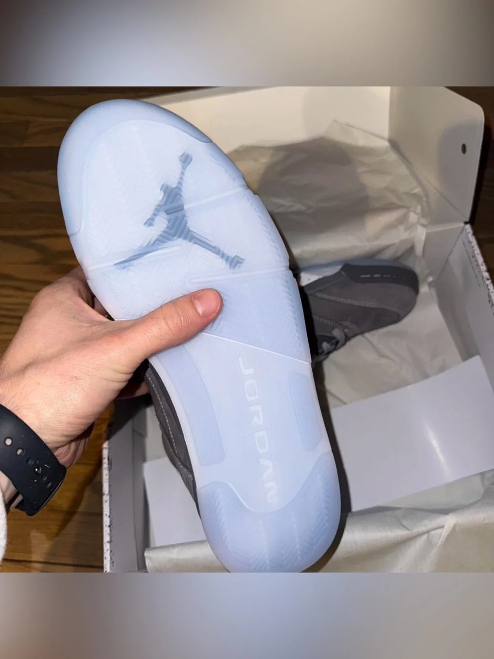 Air Jordan 5 Wolf Grey (2026)